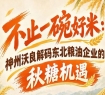 不止优质大米！神州沃良深度解析东北粮油企业南京秋糖发展机遇